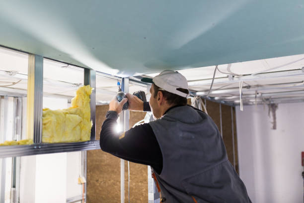 Types of Insulation We Offer in Homer, LA