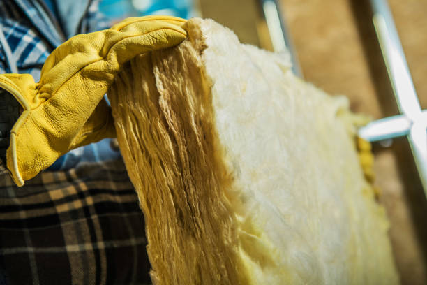 Best Residential Insulation in Homer, LA