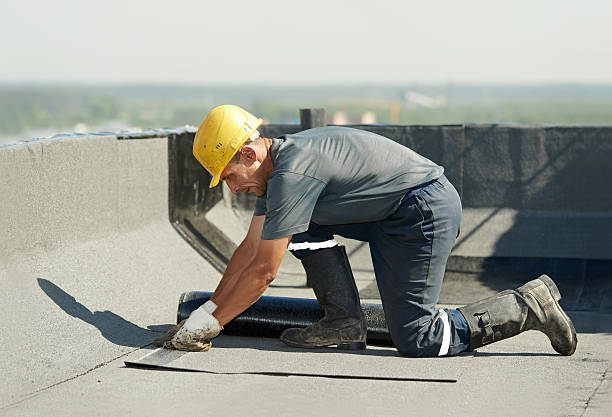Best DIY Insulation Kits and Guidance in Homer, LA